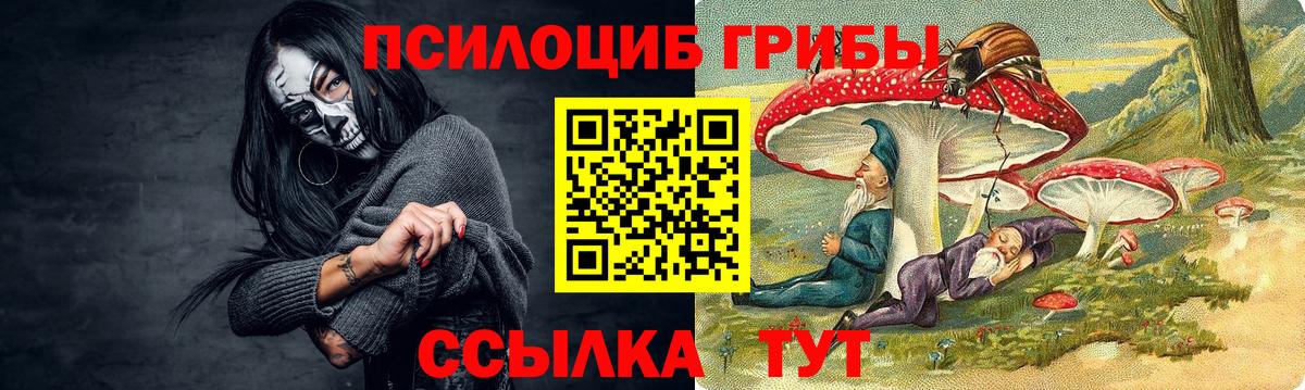 Псилоцибиновые грибы мицелий  Вход с VPN  Сорочинск 